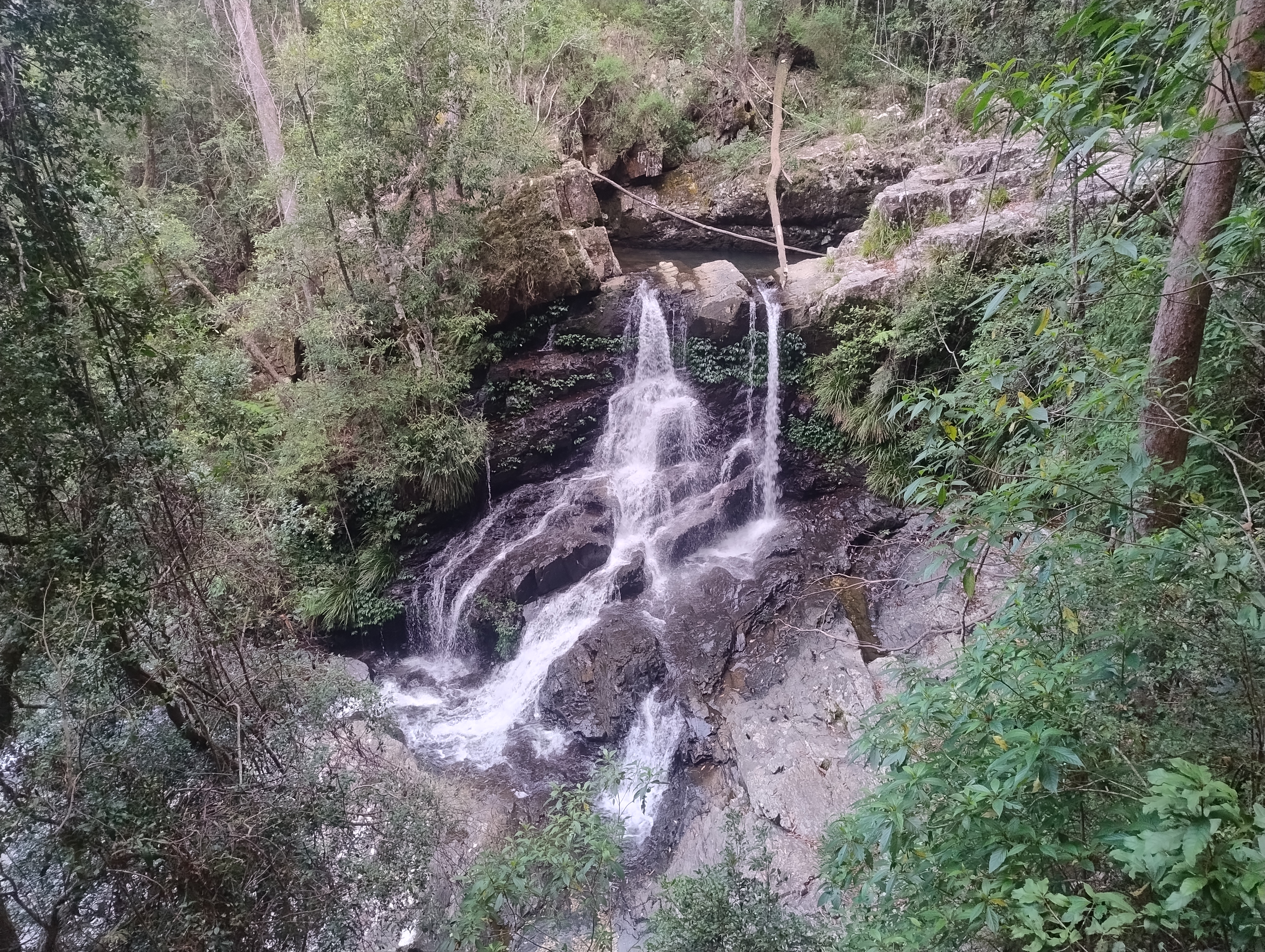 Trail running in Bindarri National Park